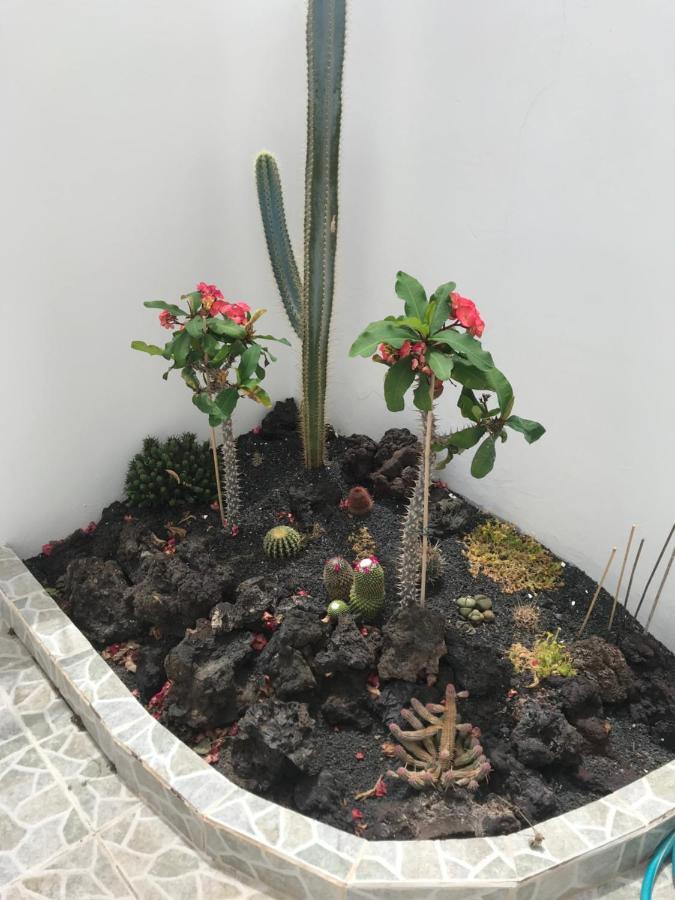 Apartamento Piscis プエルト・デル・カルメン エクステリア 写真